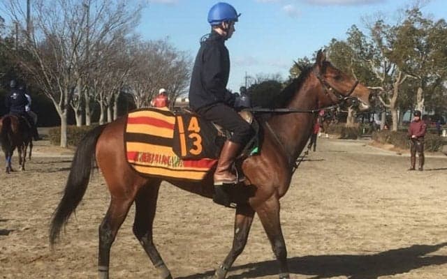 【京成杯】ランフォザローゼス 短期放牧を挟んで順調