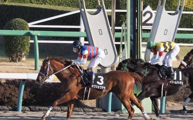 【ジャニュアリーS】ホウショウナウが直線一気でゴボウ抜き！