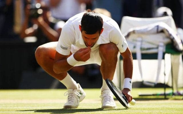 ジョコビッチ ウィンブルドンでの「芝食い」に続く全豪優勝のパフォーマンスは「木登り」か