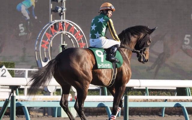 【京成杯】内田博「途中から厳しいレースに…」レース後ジョッキーコメント