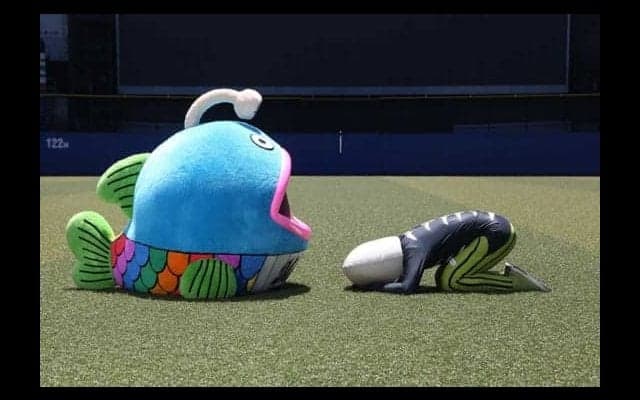 ロッテ「謎の魚」が新加入レアード歓迎も…「私を寿司ネタにするのはやめてね」