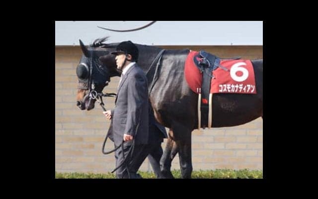 １番人気が鉄板の東海Ｓはヒモ穴狙い。地味系３頭がド派手な仕事するぞ