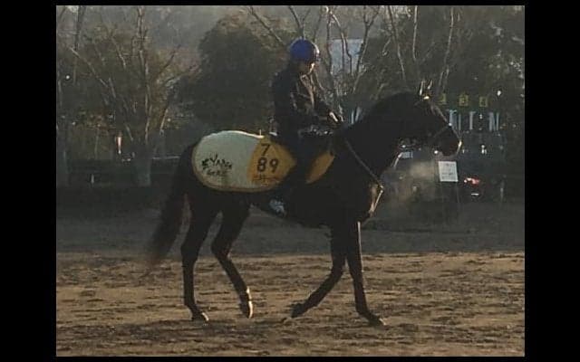 【AJCC】ジェネラーレウーノ  得意の中山で反撃の期待