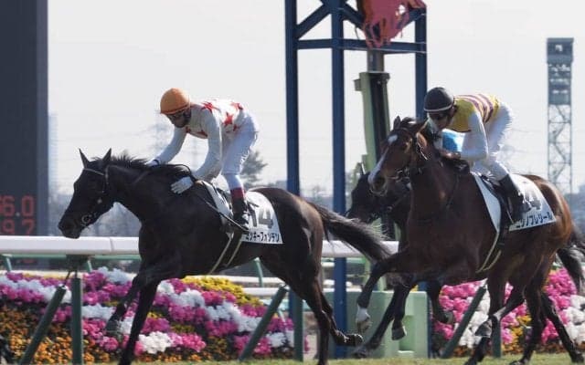 【中山6R/新馬戦】ミッキーフォンテンが馬群を割って抜け出す！