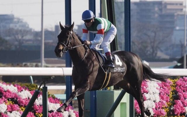 【菜の花賞】コントラチェックが逃げ切りで2勝目