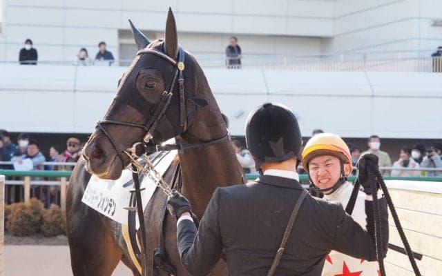 日曜中山６Ｒ新馬はディープインパクト産駒のミッキーフォンテンがデビュー勝ち