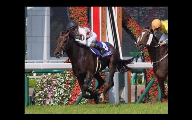 ミッキーロケット号が競走馬登録抹消