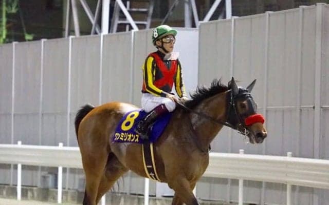 ワンミリオンス号が競走馬登録抹消