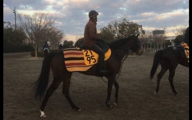 【愛知杯】ワンブレスアウェイ  古賀慎師「いい時計が出た」