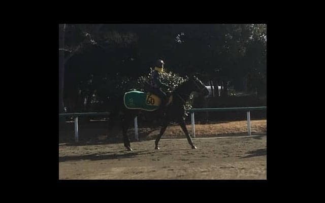 【愛知杯】ウラヌスチャーム  連勝で本格化ムード