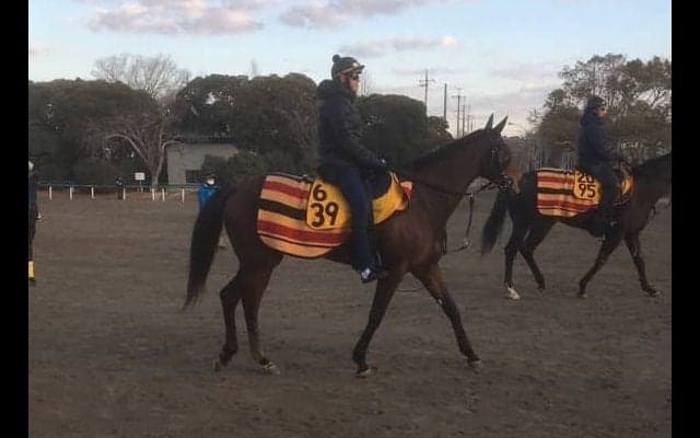 【愛知杯】コルコバード  脚力は牡馬顔負け