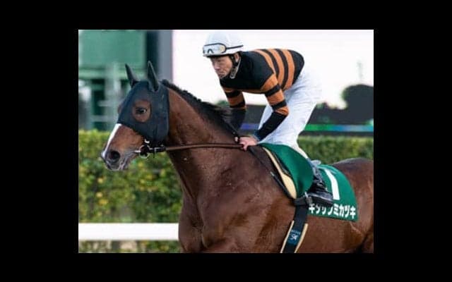 ２強に注目集まる根岸Ｓだが、異色の存在２頭が波乱を起こすかも…