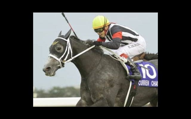 偉大すぎるスプリント王と女王の子。カレンモエの潜在能力に期待大だ