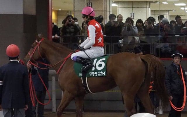 【根岸S】武豊「乾いたダートは合わないね」マテラスカイ失速