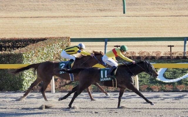 【根岸S】コパノキッキングが4連勝で重賞2勝目！