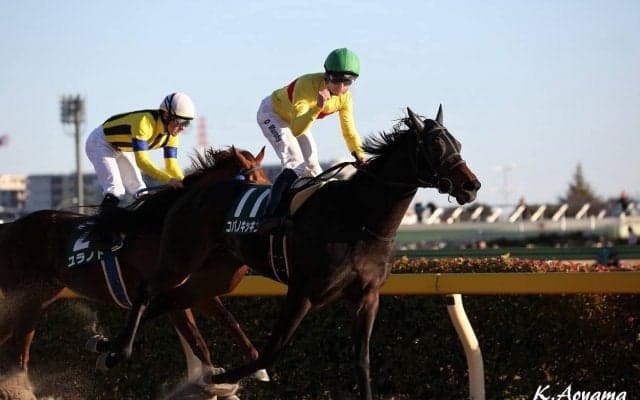 【根岸S】ルメール「勝った馬が強い」レース後 ジョッキーコメント