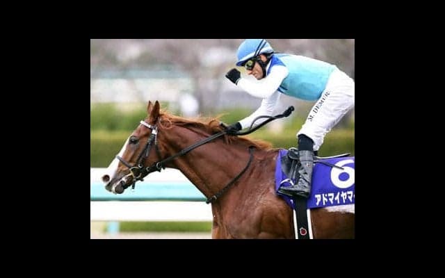 役者が出そろってきた３歳牡馬戦線。クラシックの主役はどの馬だ？