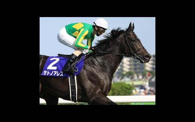 歴史が示す。東京新聞杯の穴馬キーワードは４歳馬、上がり馬、ＧＩ馬