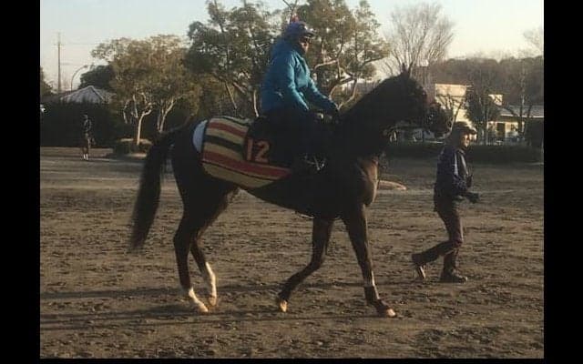 【きさらぎ賞】アガラス 自在性高く能力上位