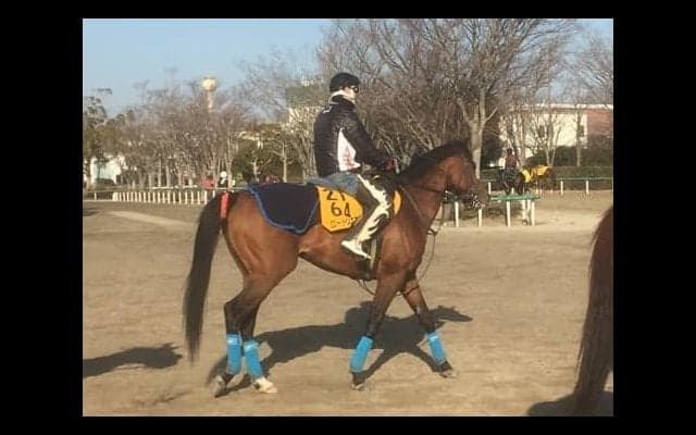 【東京新聞杯】ロードクエスト  G3では実績上位