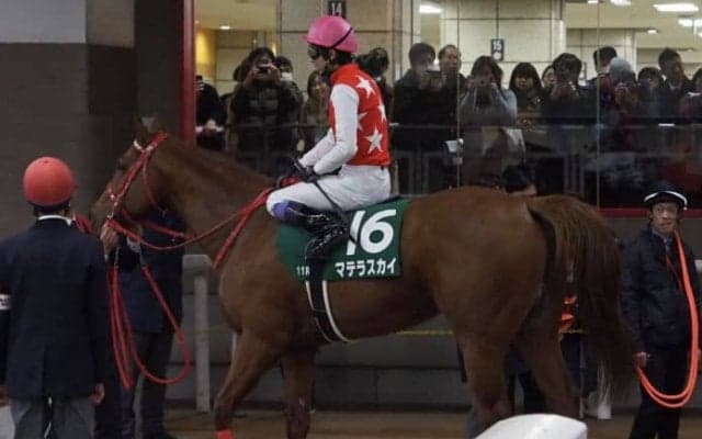 2019ドバイワールドカップデー 日本馬の招待受諾