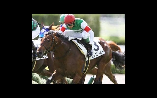 少頭数のきさらぎ賞は中穴狙い。人気の盲点となる２頭にウマ味あり