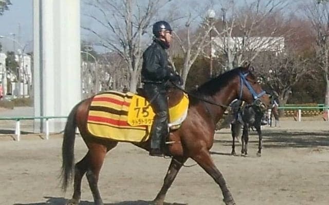 【東京新聞杯】テトラドラクマ 古馬の牡馬相手がカギ