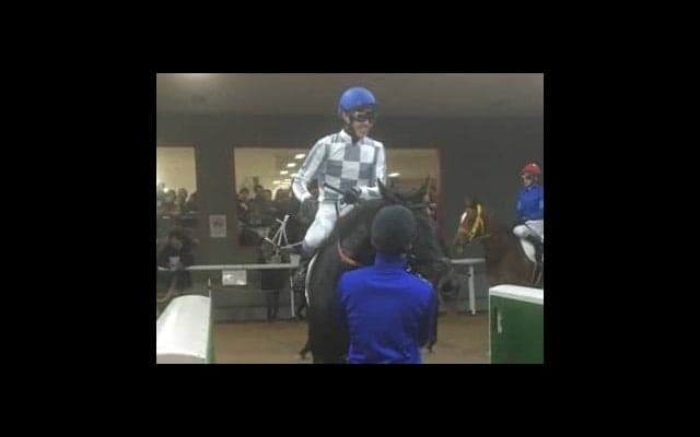 日曜東京６Ｒ新馬は武豊騎乗の良血キスラーが１番人気にこたえる