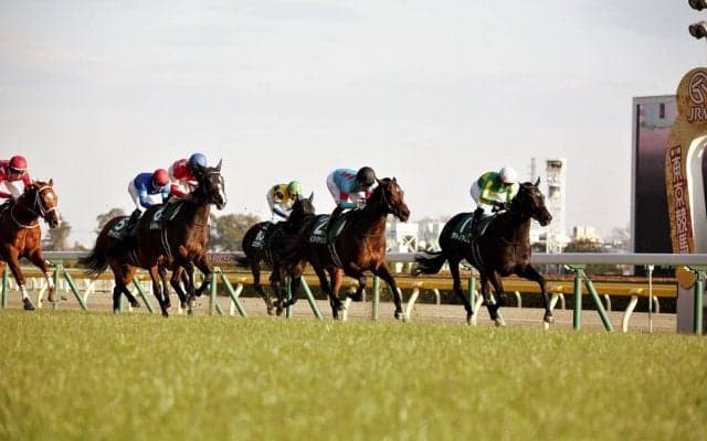 【東京新聞杯】ルメール「少し重かった」レース後関係者コメント