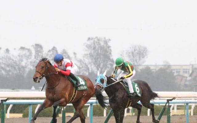 【きさらぎ賞】川田「想像以上に良い走りをしてくれた」ダノンチェイサーが重賞初V！