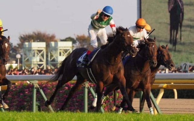 2019ドバイワールドカップデー 日本馬の招待受諾