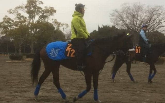 【クイーンC】カレンブーケドール  国枝師「相手も強そうだが期待はあるよ」