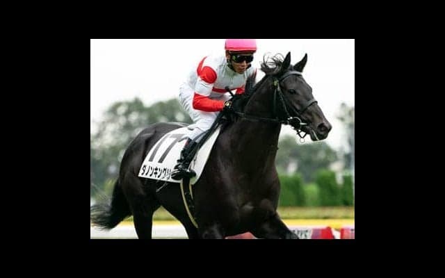 共同通信杯、人気の実績馬２頭を負かすのは東京コースが合うあの馬だ