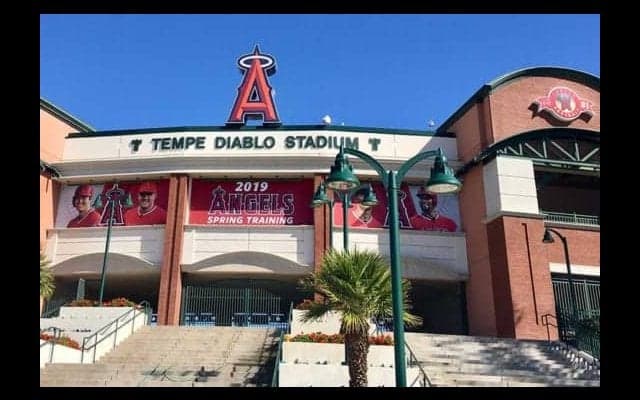 【MLB】大谷翔平、エ軍の“顔”に　キャンプ地にトラウトとの「最強コンビ」写真登場