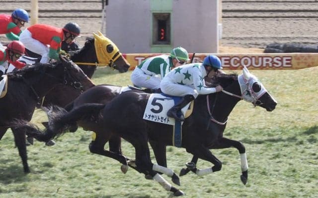 【東京6R】トオヤリトセイトが直線一気の差し切り！