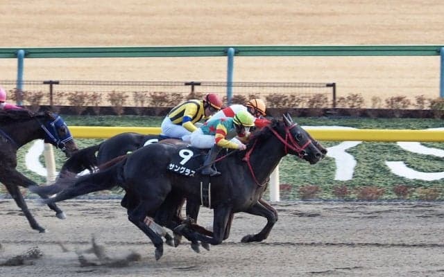 【バレンタインS】8歳馬サングラスが約2年ぶりV！