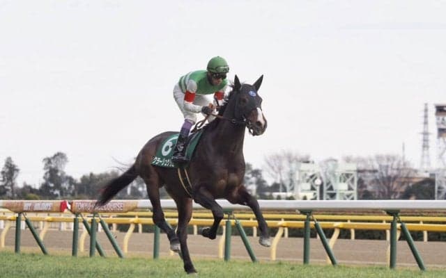 【共同通信杯】武豊「キレ負けした感じ」クラージュゲリエは3着