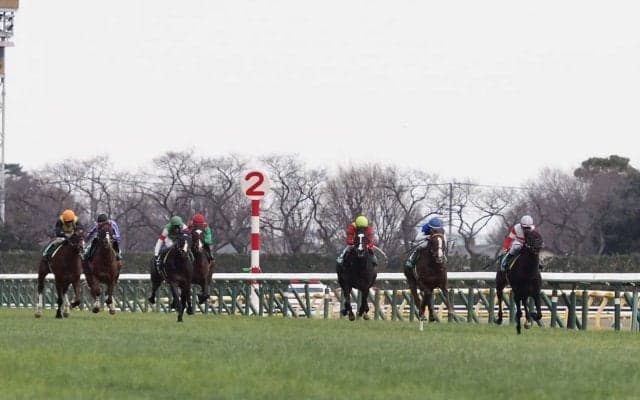 【共同通信杯】ルメール 「距離も少し長い」フォッサマグナは4着敗退