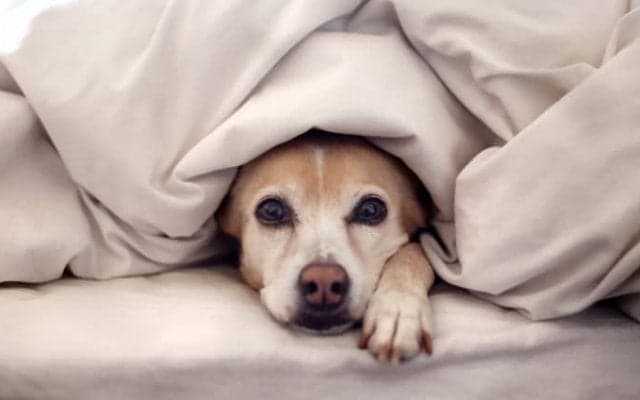 足の冷え解消にオススメのアイテム