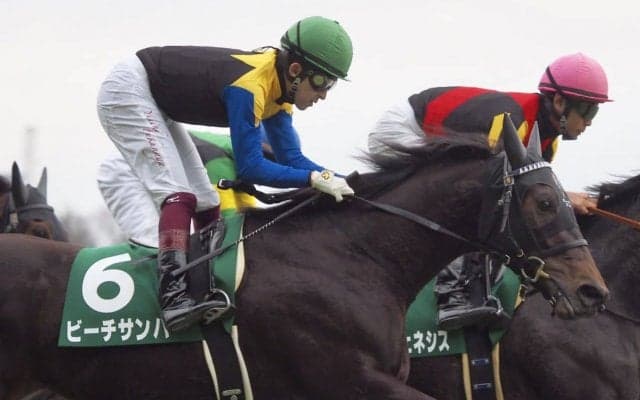 【クイーンC】ビーチサンバ出遅れも2着！福永「隣の馬が暴れて…」