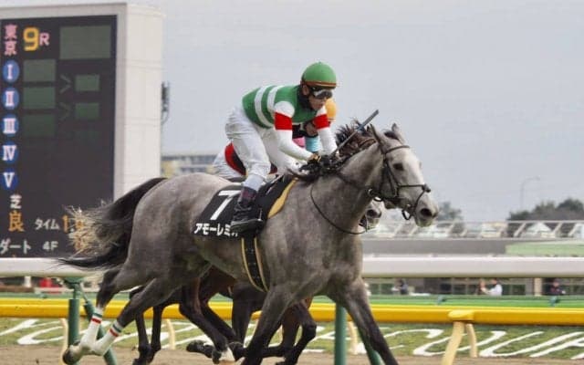 【テレビ山梨杯】8番人気アモーレミオが完勝！