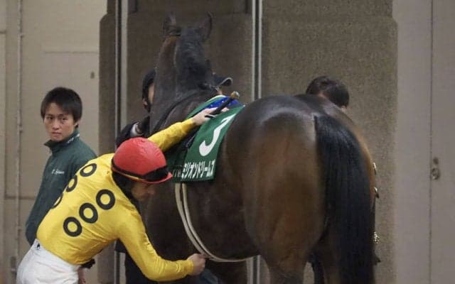 【クイーンC】ミリオンドリームズ8着！ルメール 「柔らかい馬場の方が…」