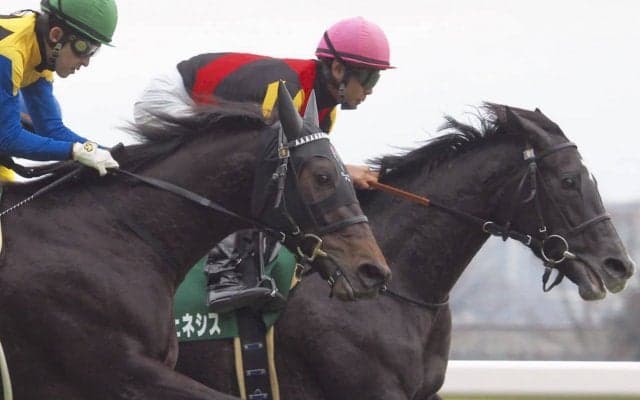 【クイーンC】クロノジェネシス完勝！北村友「前哨戦としてはいい内容」