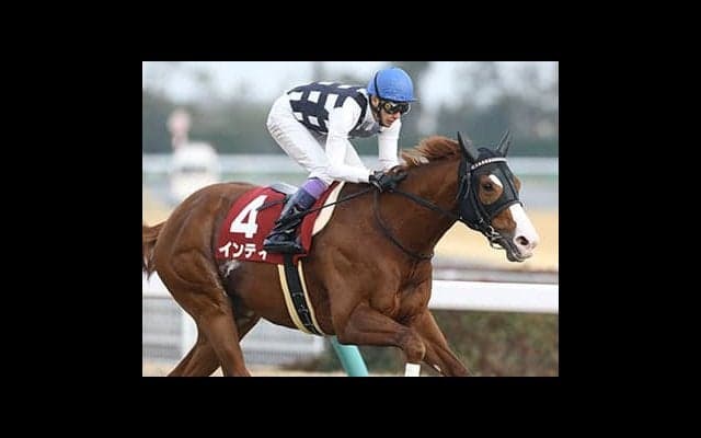 フェブラリーＳは６連勝中のインティ中心。初の距離も血統的に好材料