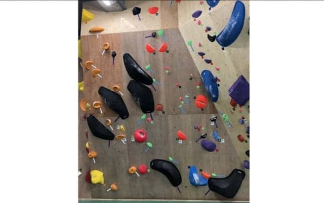 OnlineObservation Selection Vol.8「オンラインオブザベーションアワード2018 最優秀課題」