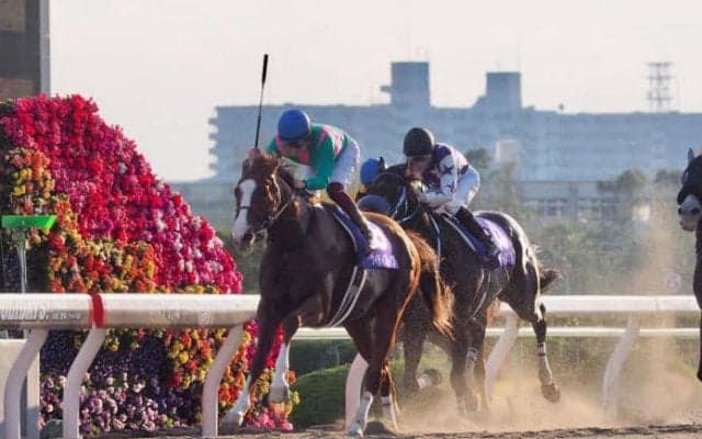 2019ドバイワールドカップデー 日本馬の招待受諾