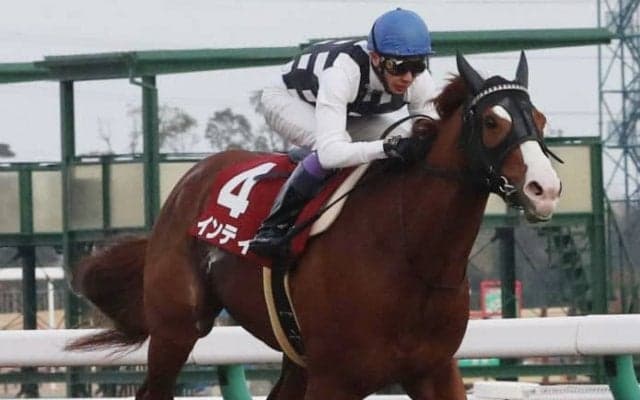 【フェブラリーS】出走馬の調教後の馬体重