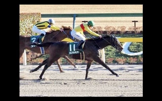 【フェブラリーS】武豊インティ4枠6番 菜七子コパノキッキング7枠11番