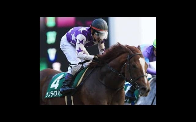 フェブラリーＳは強豪馬に懸念。穴党記者はとんでもない穴馬４頭を推す