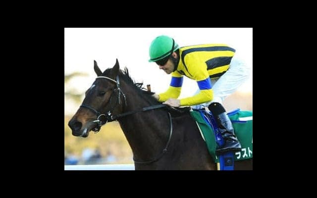 名手ルメールが「相当な馬」と絶賛。大一番へ夢膨らむラストドラフト